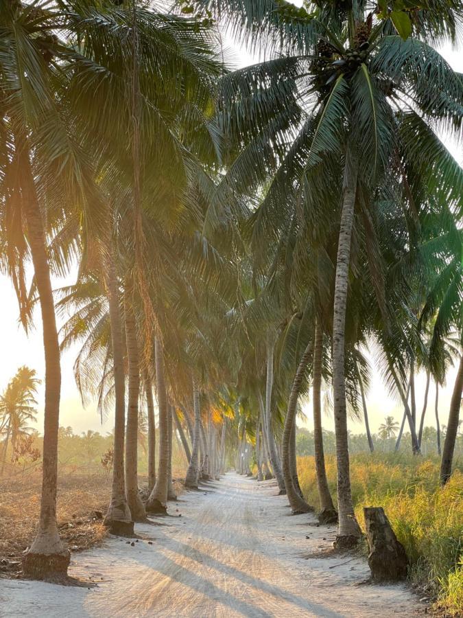 فندق Thoddoo Retreat Grand المظهر الخارجي الصورة