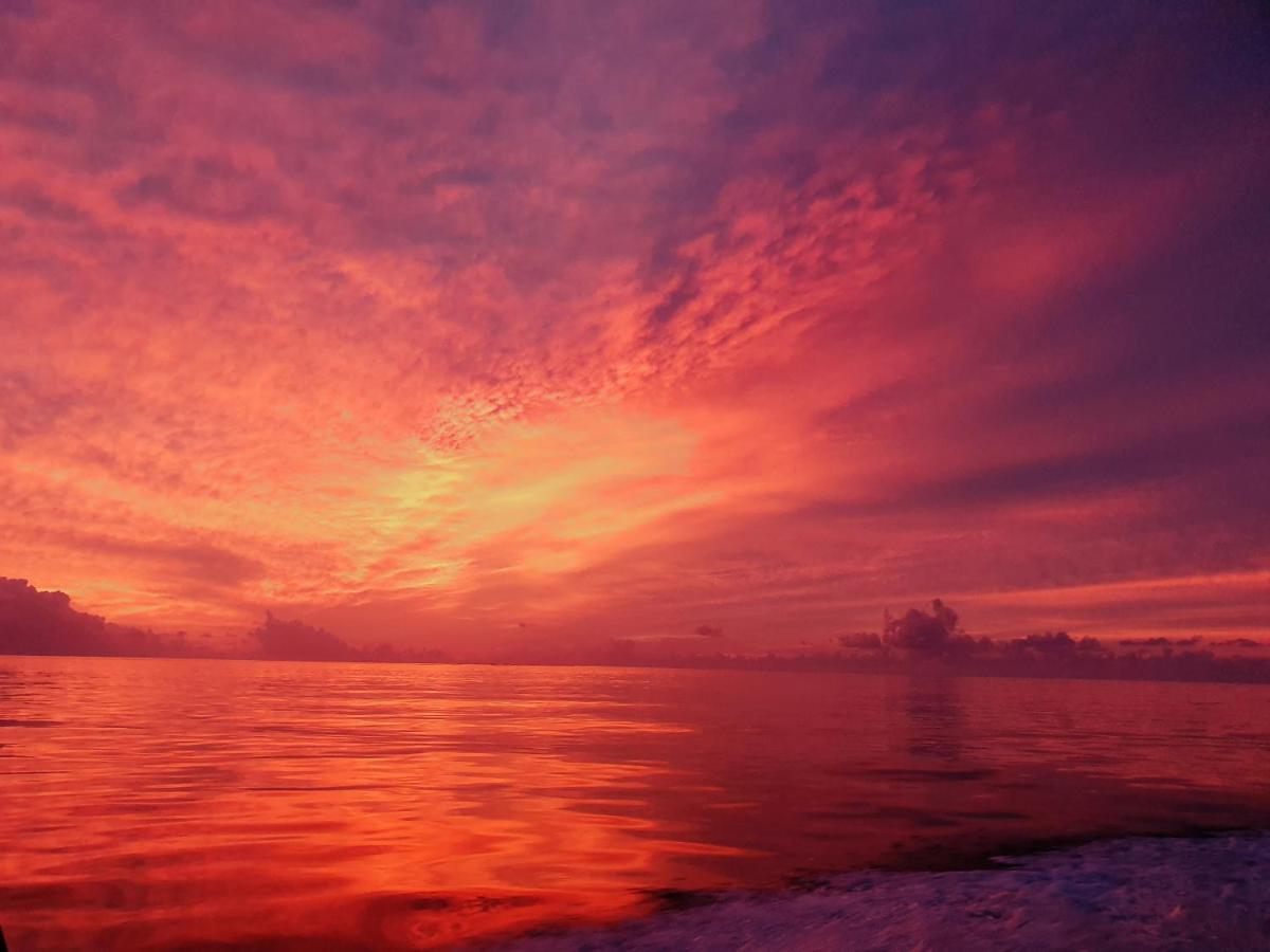 فندق Thoddoo Retreat Grand المظهر الخارجي الصورة