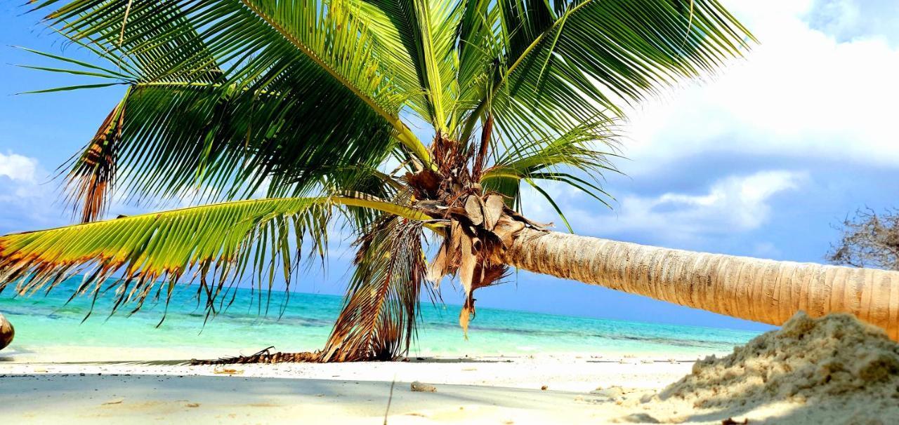 فندق Thoddoo Retreat Grand المظهر الخارجي الصورة